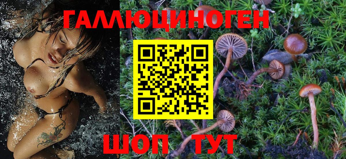 Псилоцибиновые грибы Magic Shrooms  Вход с VPN  Краснознаменск 