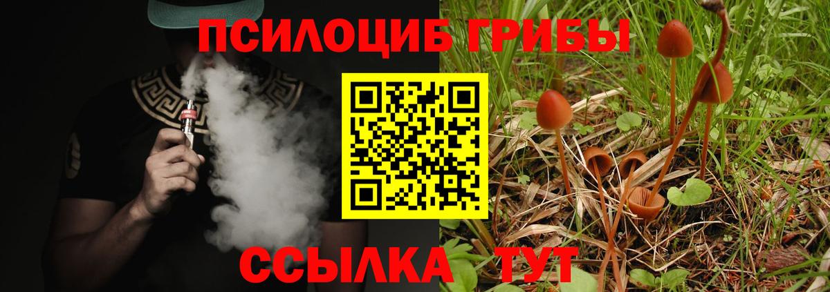 Галлюциногенные грибы мухоморы Краснознаменск